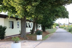 image22
